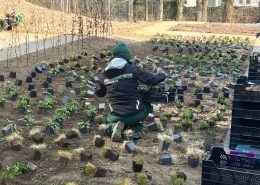 Planteprojekt i det nordlige Aarhus, hvor vi ligeledes skal stå for pleje- og vedligeholdelse i de kommende år