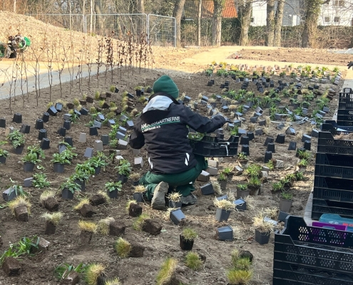 Planteprojekt i det nordlige Aarhus, hvor vi ligeledes skal stå for pleje- og vedligeholdelse i de kommende år