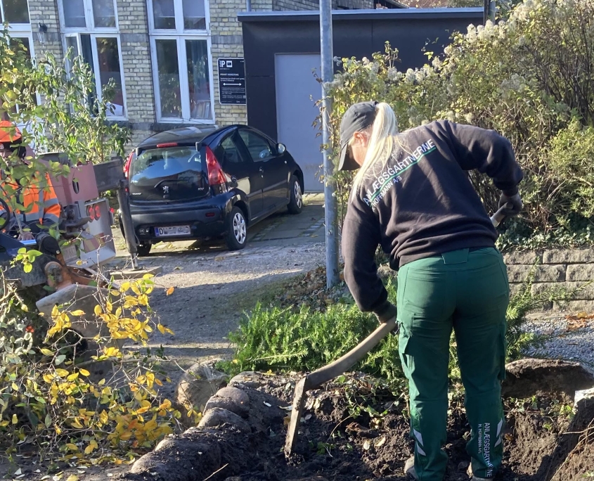 haveforvandling