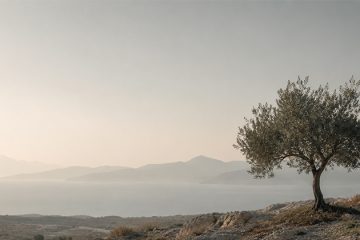 Cumhuriyetin çimentosu yurttaşlıktır