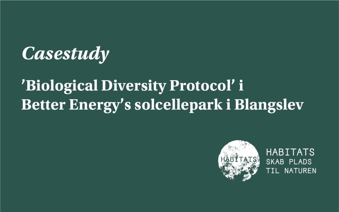 Casestudy: ‘Biological Diversity Protocol’ i Better Energy’s solcellepark i Blangslev