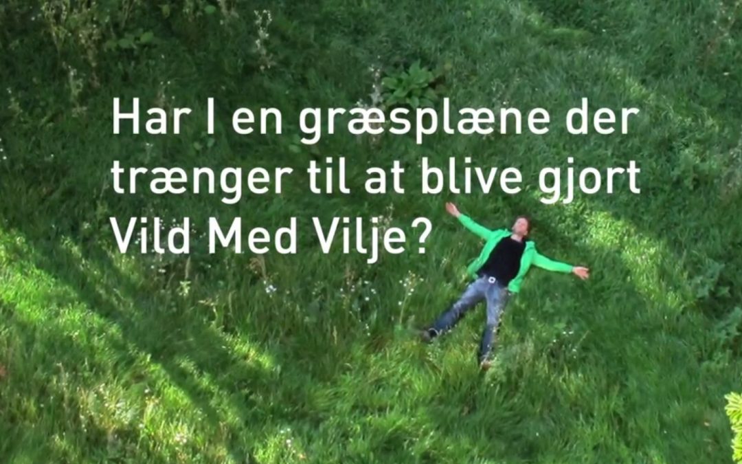 VILD MED VILJE FILM