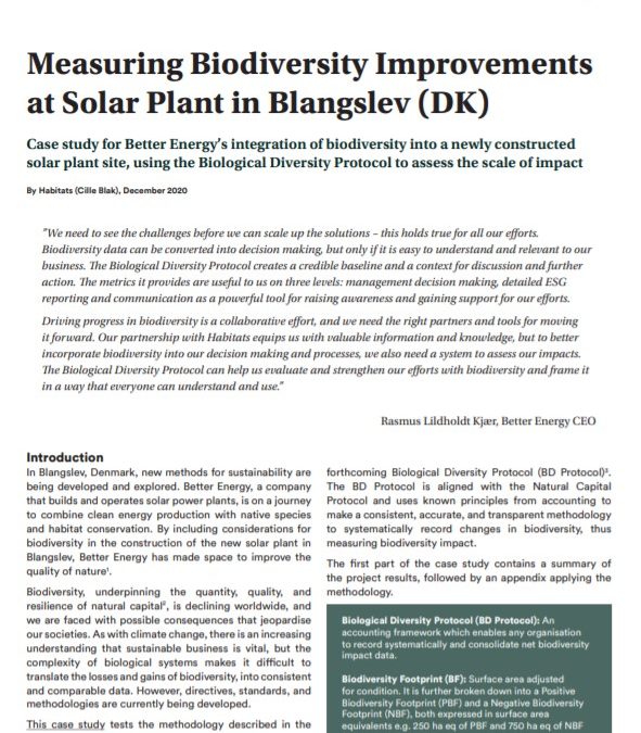 BD Protocol – Case Blangslev (Better Enegy)