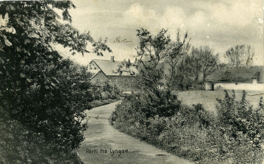 Postkort fra 1907 med vejen til skolen, skolen  og laden til Lyngågård