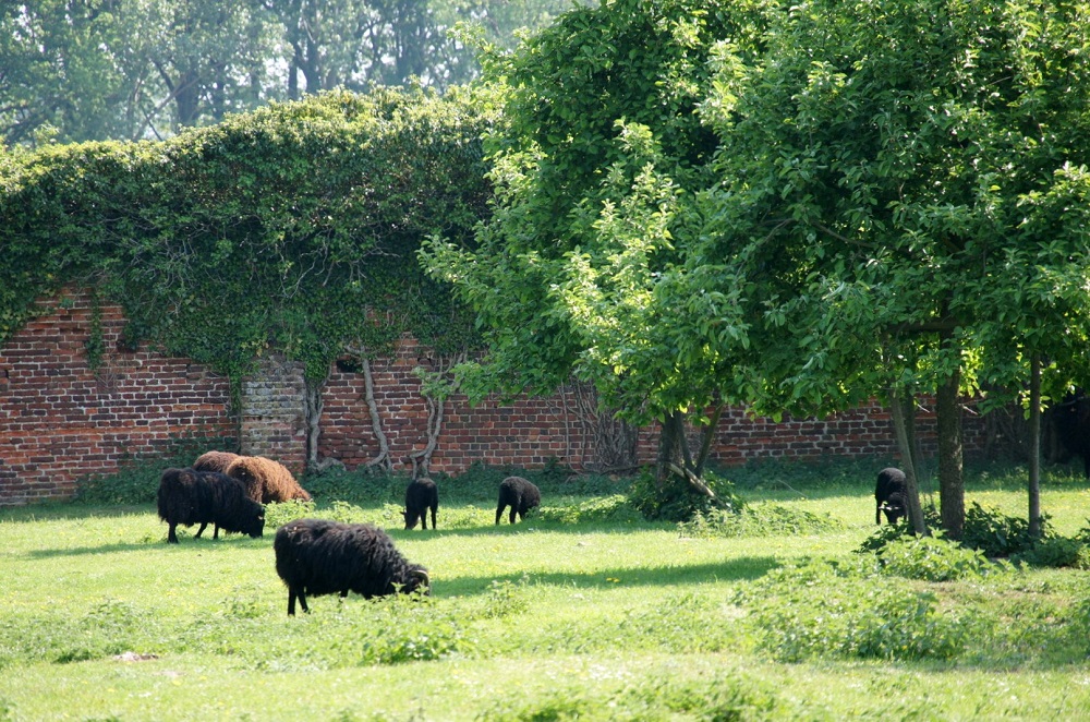 De boomgaard van de abdij van Vlierbeek, een zeer aangename plaats om te vertoeven. 