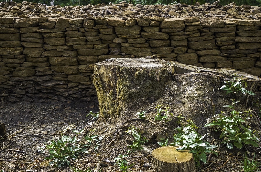 de historische stenen muur  die voor een microklimaat zorgt