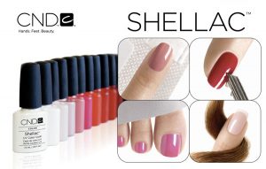 novita shellac