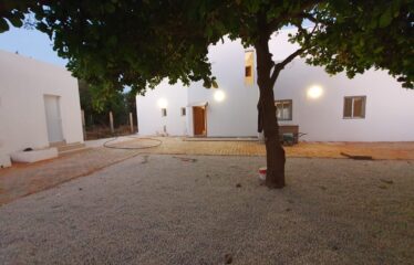 Villa neuve à Ngaparou - photo du bien