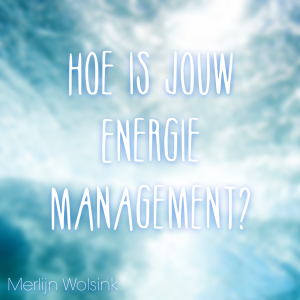 Merlijn Wolsink Energie Management