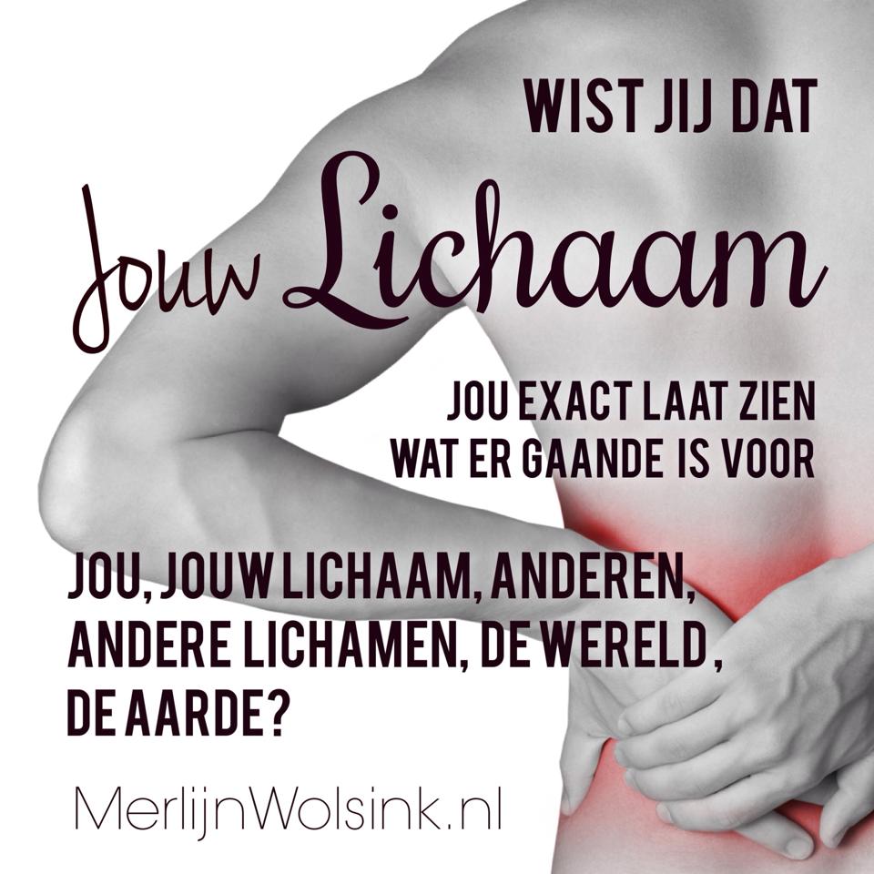 Merlijn Wolsink - Lichaam laat je zien