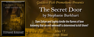 BB_TheSecretDoor_Banner copy