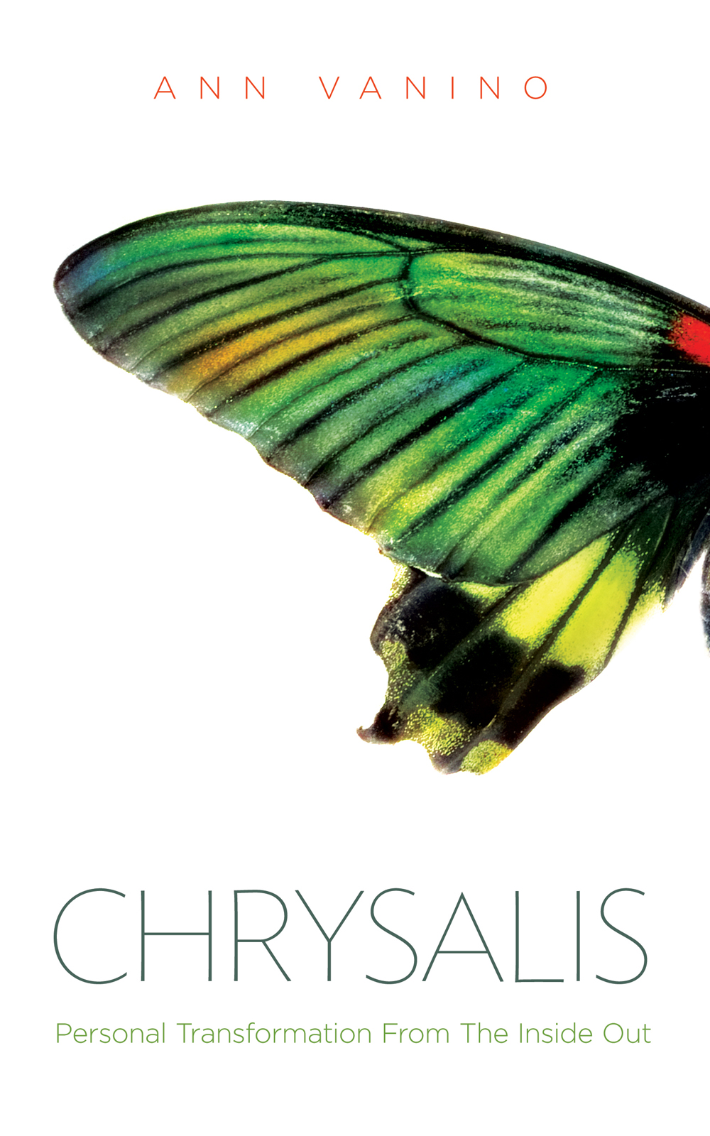 MediaKit_BookCover_Chrysalis