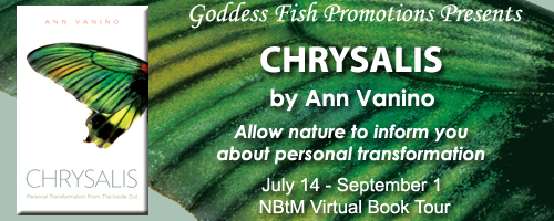 NBTM_Chrysalis_Banner copy