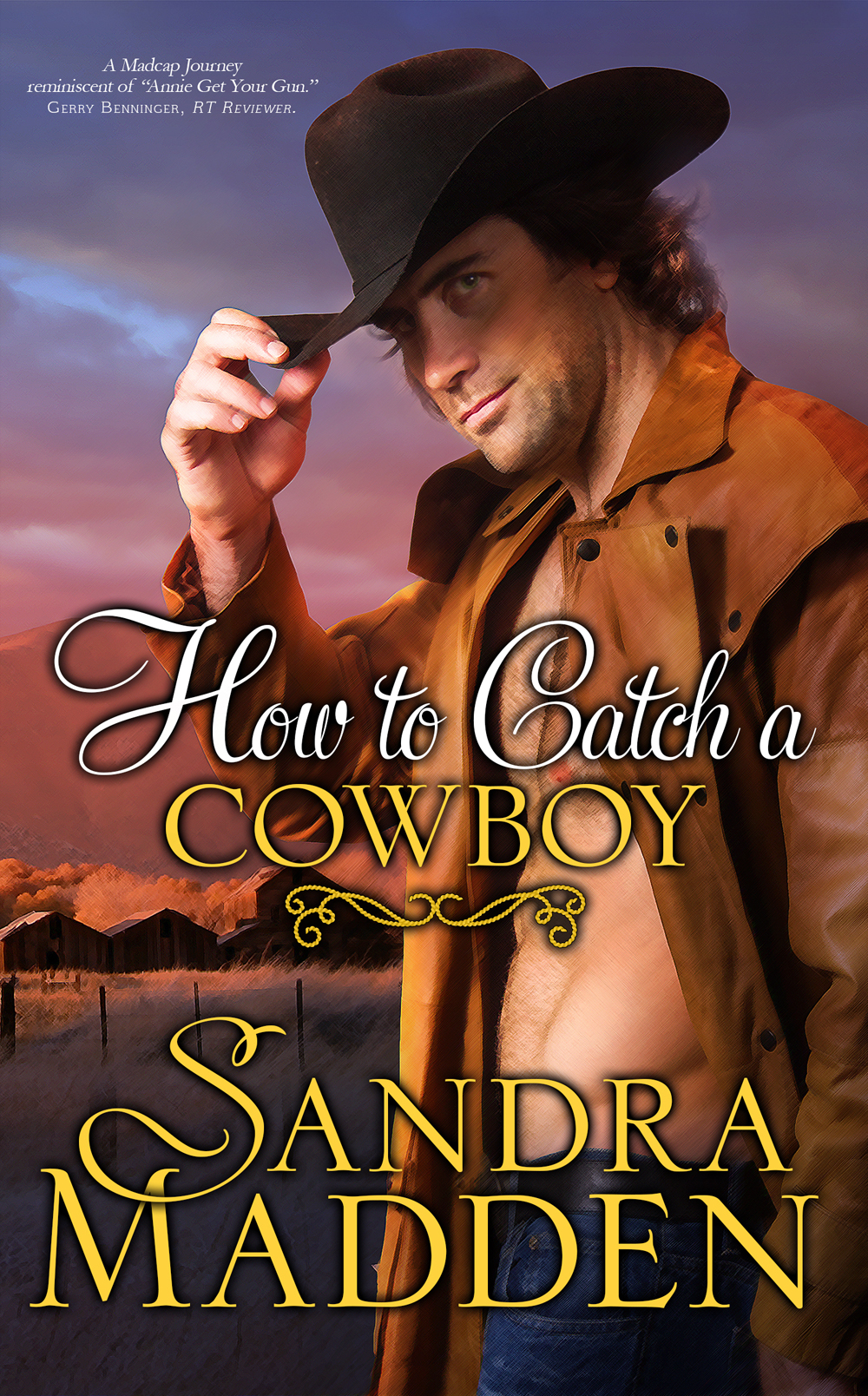 MediaKit_BookCover_HowToCatchACowboyCrop