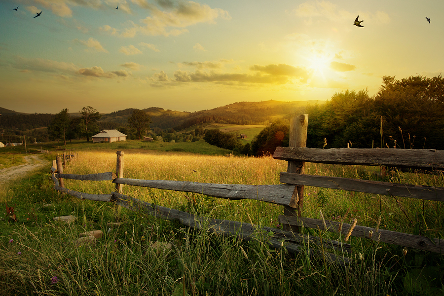 countryside landscape; rural farm and farmland field