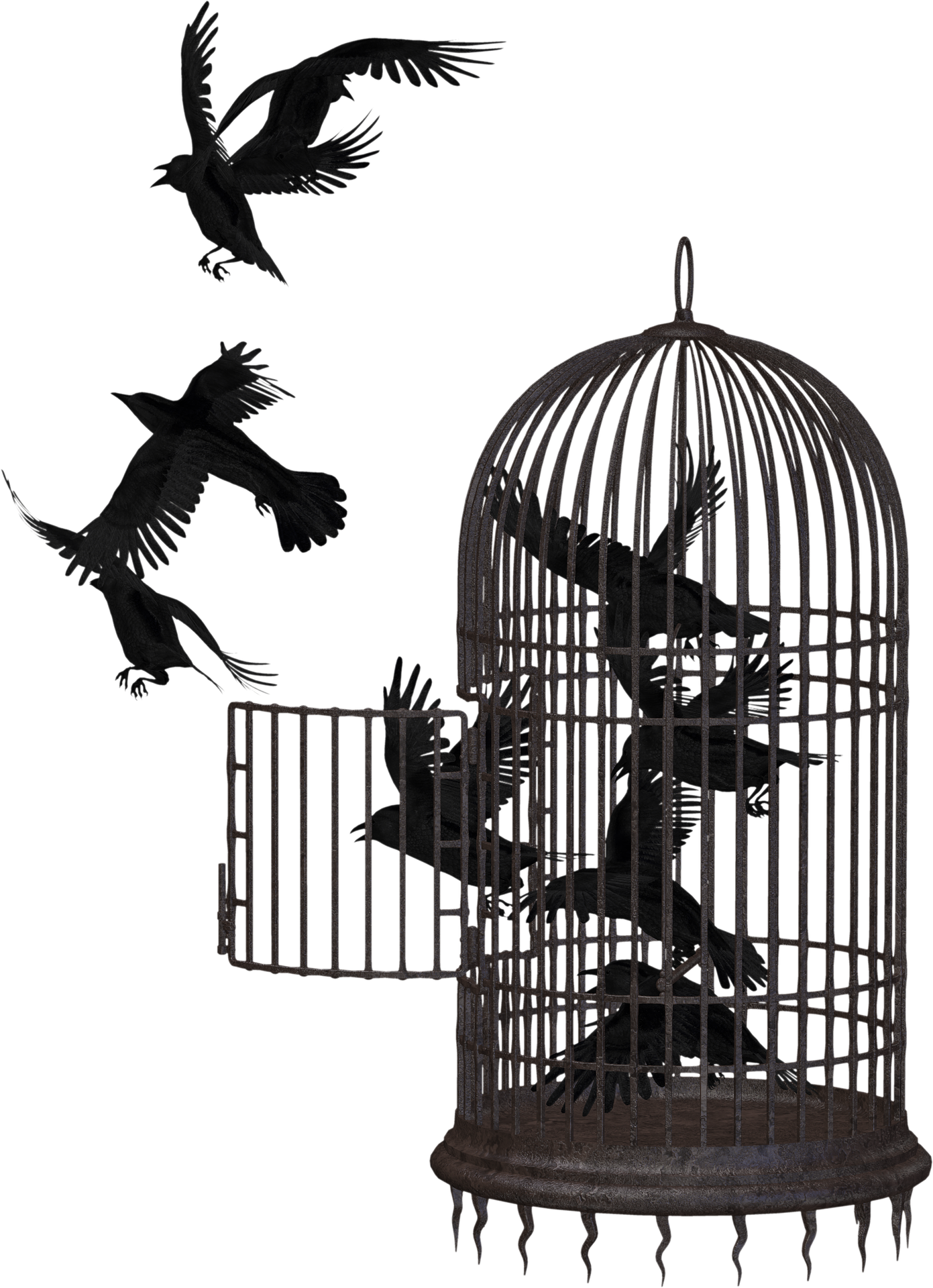 Birds escaping cage