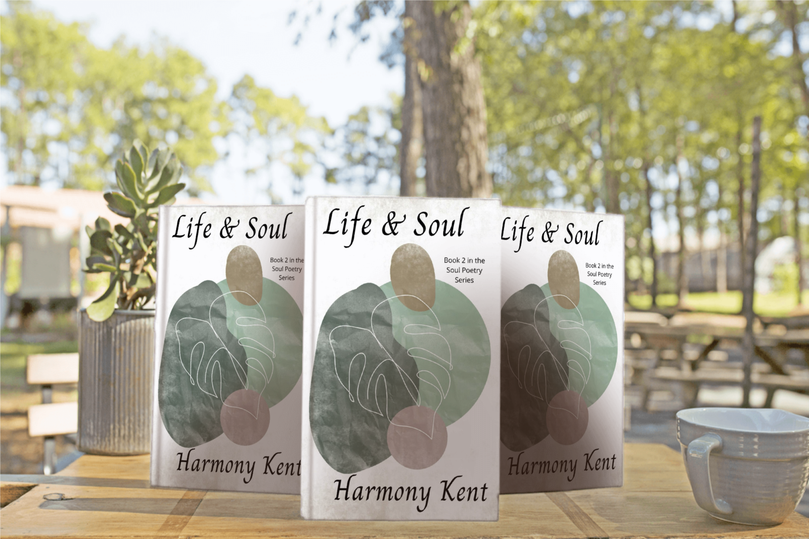 3 copies of Life & Soul on picnic table in forest