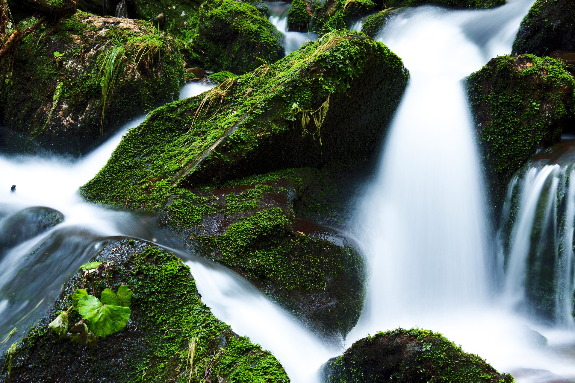 Water flowing around moss covered rocks