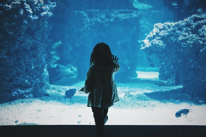 Young girl in front of aquarium 