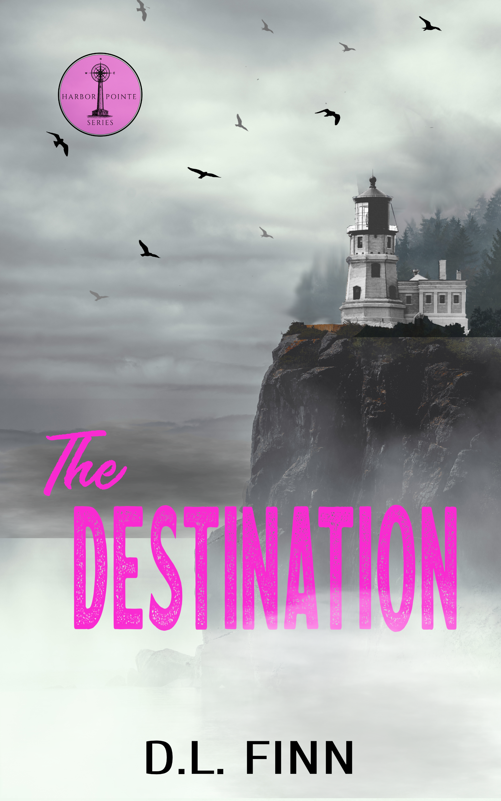 The Destination by D L Finn book cover