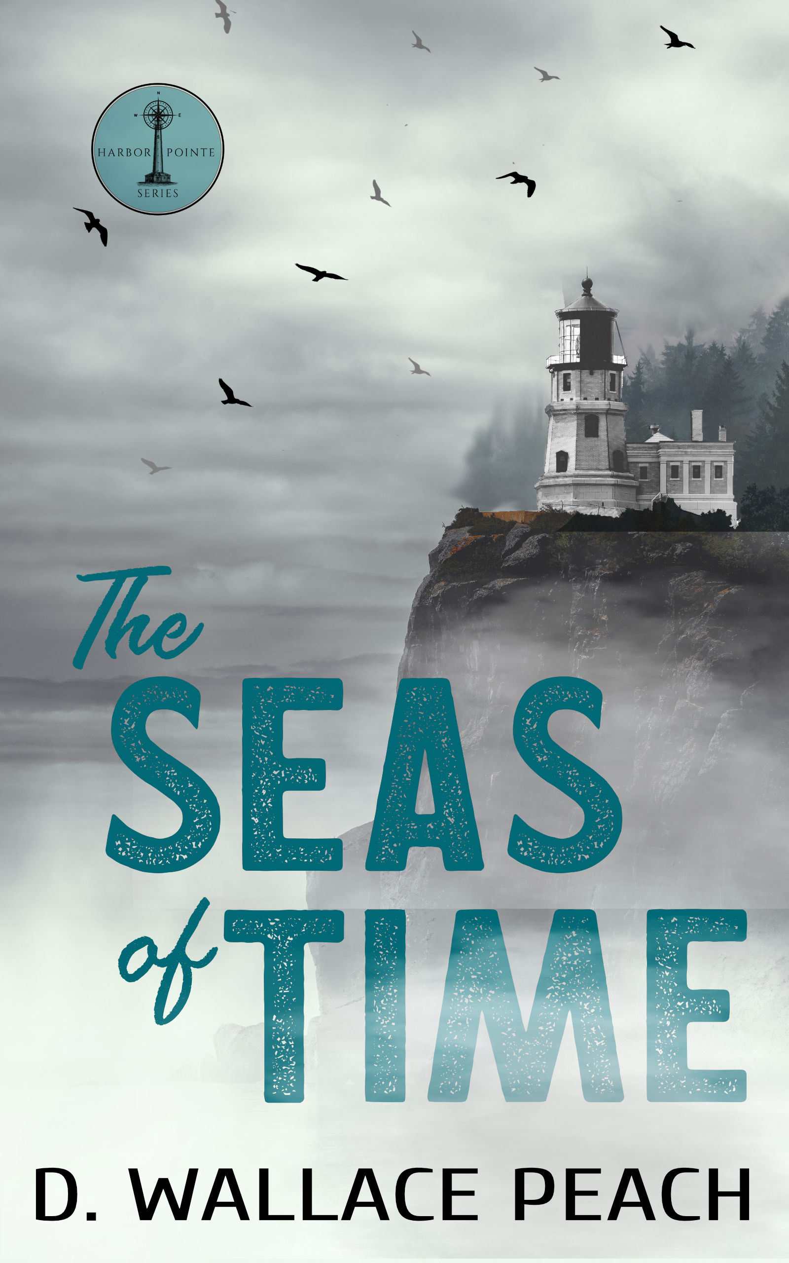 The Seas of Time by D W Peach book cover