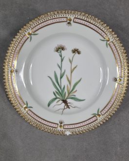 Flora Danica side plate #3551 with damage