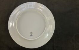 Royal Copenhagen White Elements dinner plate #627