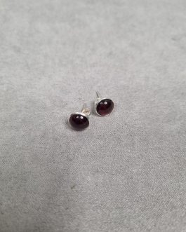 A pair of earrings