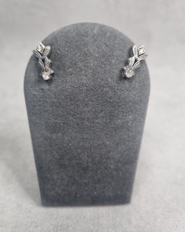 A pair of earrings