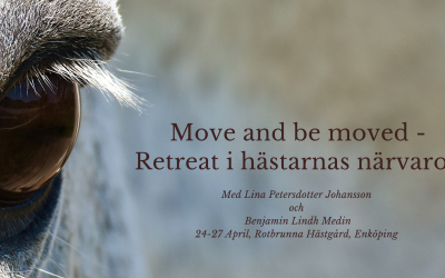 Move and be moved – Retreat i hästarnas närvaro