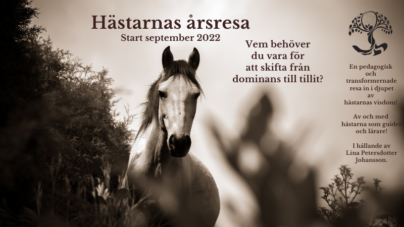 Hästarnas årsresa 2022-2023