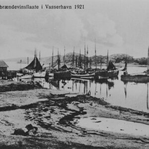 Brennevinsflåten 1921