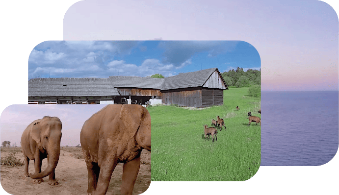 Examples of some of our real images