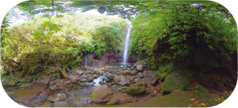 Real images - Waterfall