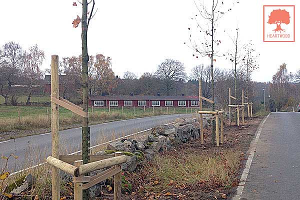 HEARTWOOD | ISA-certifierad arborist | Föredrag - trädvård, trädbeskärning, trädsjukdomar