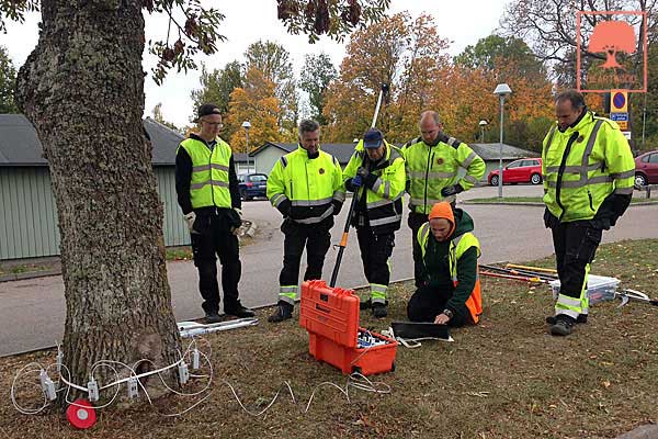 HEARTWOOD | ISA-certifierad arborist | Utbildning