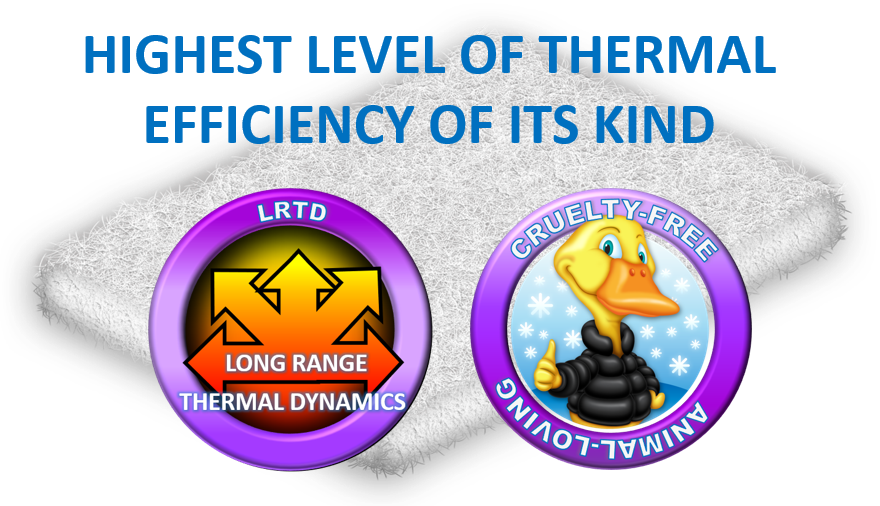 highest level of thermal efficiency of its kind