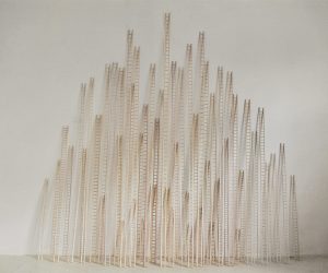 Ladders wood dimensions variable