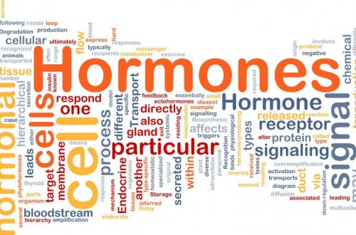 hormoner.jpg