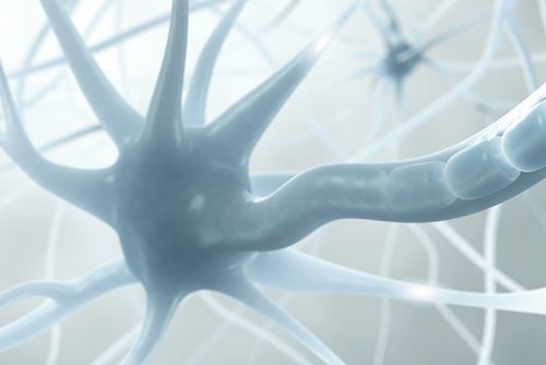 Nervebaner problemer - psysiske ubalancer, søvnløshed, sclerose, herpes virus Nervebaner problemer - psysiske ubalancer, søvnløshed, sclerose, herpes virus
