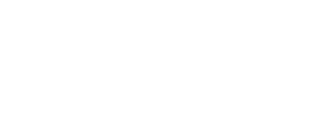 Hoollies