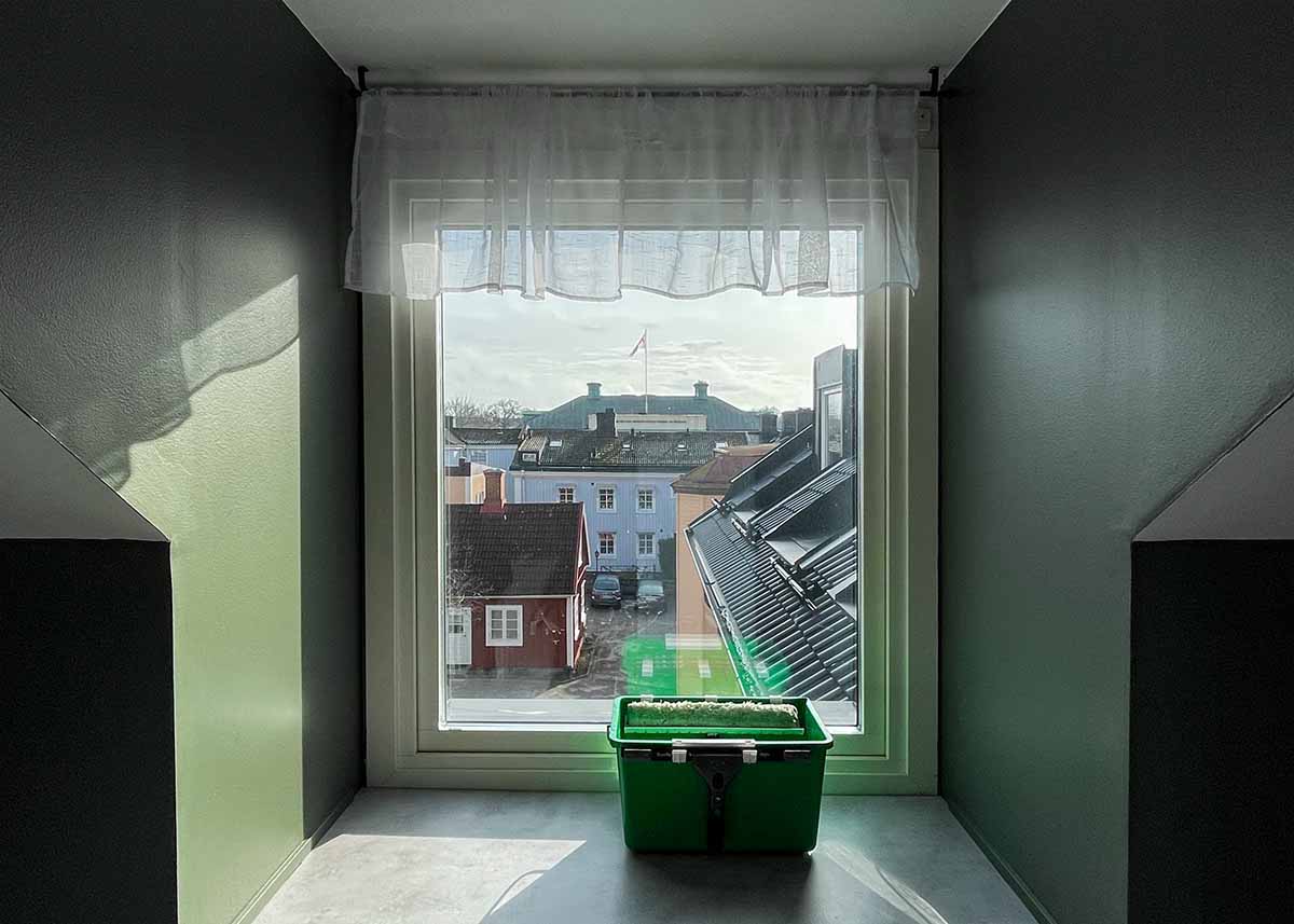 Städfirma med professionella fönsterputsare. Bild på fönsterputsredskap i en fönsterkarm med utsikt över Växjö.