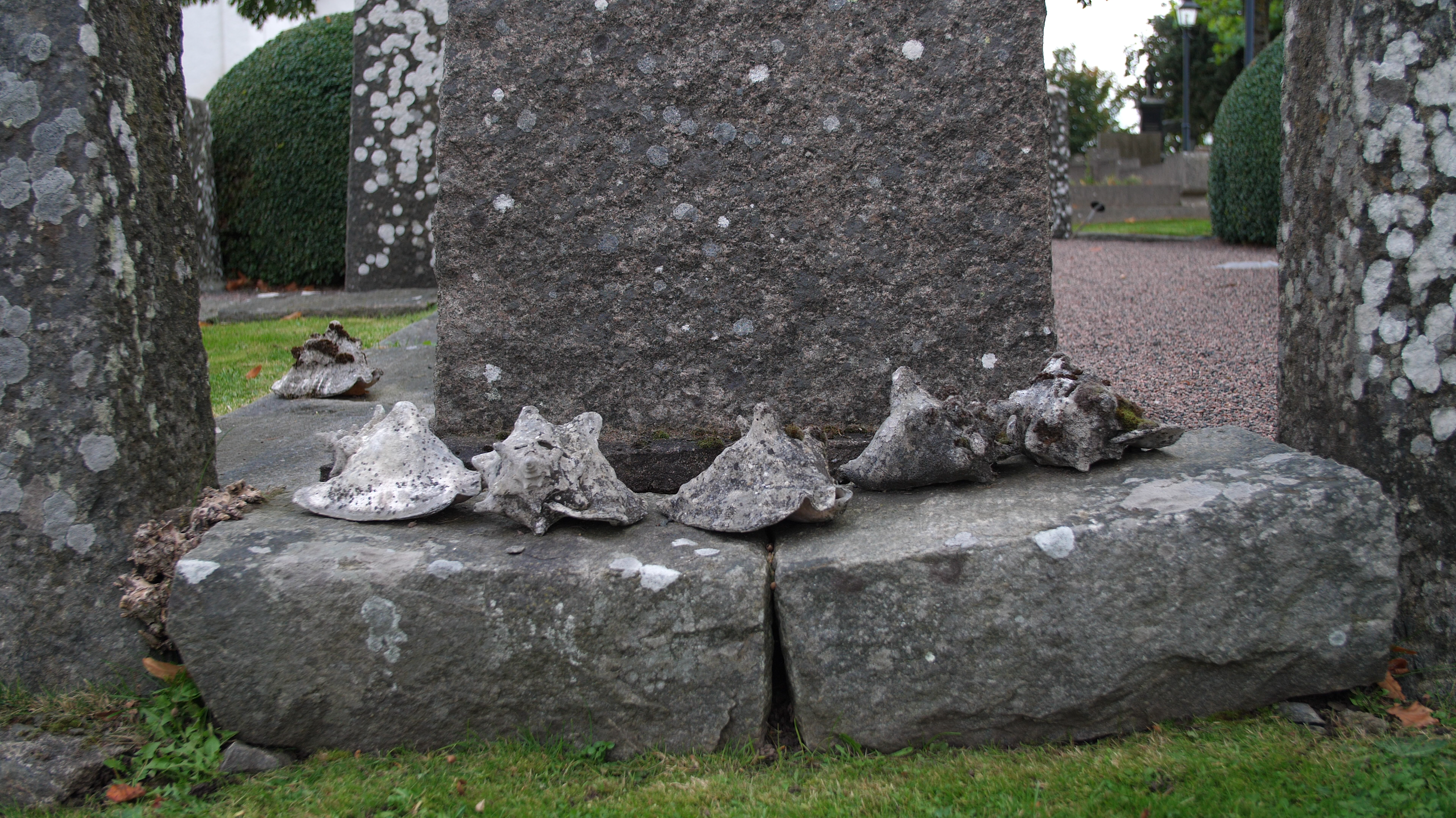 snäckgrav