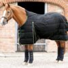 Premier Equine Lucanta Demi Stable 450g - 5,6" (115cm)