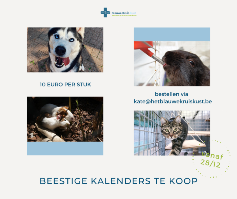 🐾 BEESTIGE KALENDERS TE KOOP 🐾