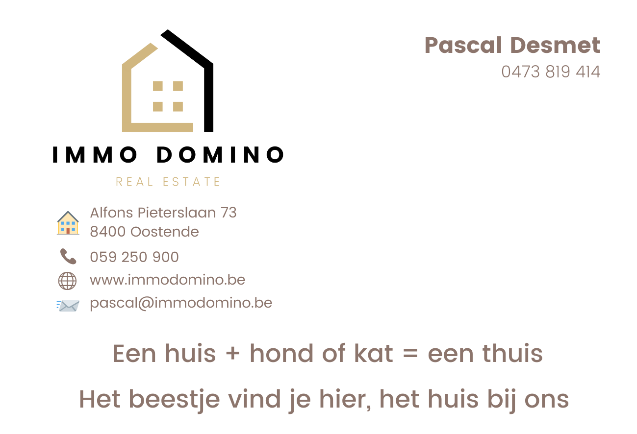 Logo Immo Domino – Pascal 2022