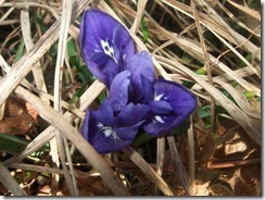 DSCF2709