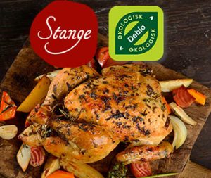 oko-stangelogo-utsnitt