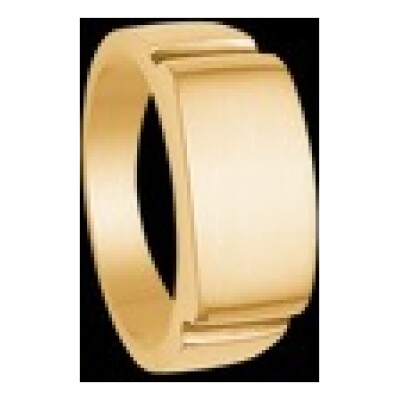 8 kt Herre guld ring