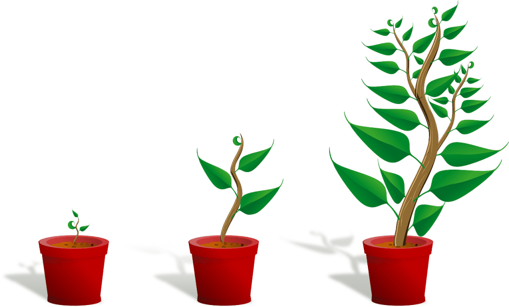 bærekraftig salg,consultative selling,customer engagement,customer trust,decision-making process,kjøpsbeslutning,kundeforståelse,lead nurturing,long-term sales,relationship selling,sales patience,sales strategy,salgsprosess,salgspsykologi,salgsteknikk,strategisk salg,tålmodighet i salg,tid til å modne,store beslutninger krever mer tid,bygging av tillit,langvarige kunderelasjoner,Modningstid i salg